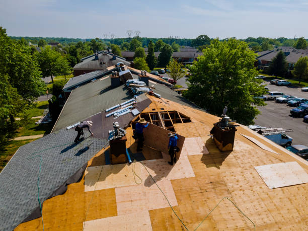 24/7 Emergency Roof Replacement experts in Louisiana, LA